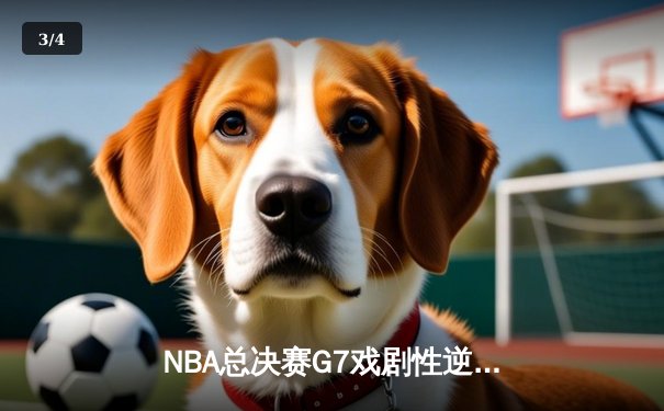 NBA总决赛G7戏剧性逆转：掘金加时力克热火荣膺队史首冠，约基奇狂轰40+三双当选FMVP - 3