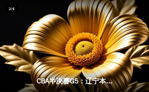 CBA半决赛G5：辽宁本钢加时逆转广东宏远 赵继伟33分率队挺进总决赛 - 2